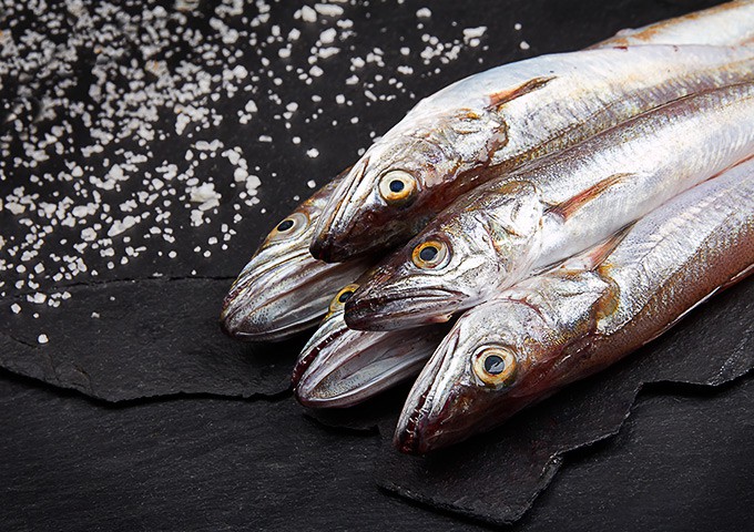 El hierro en el pescado