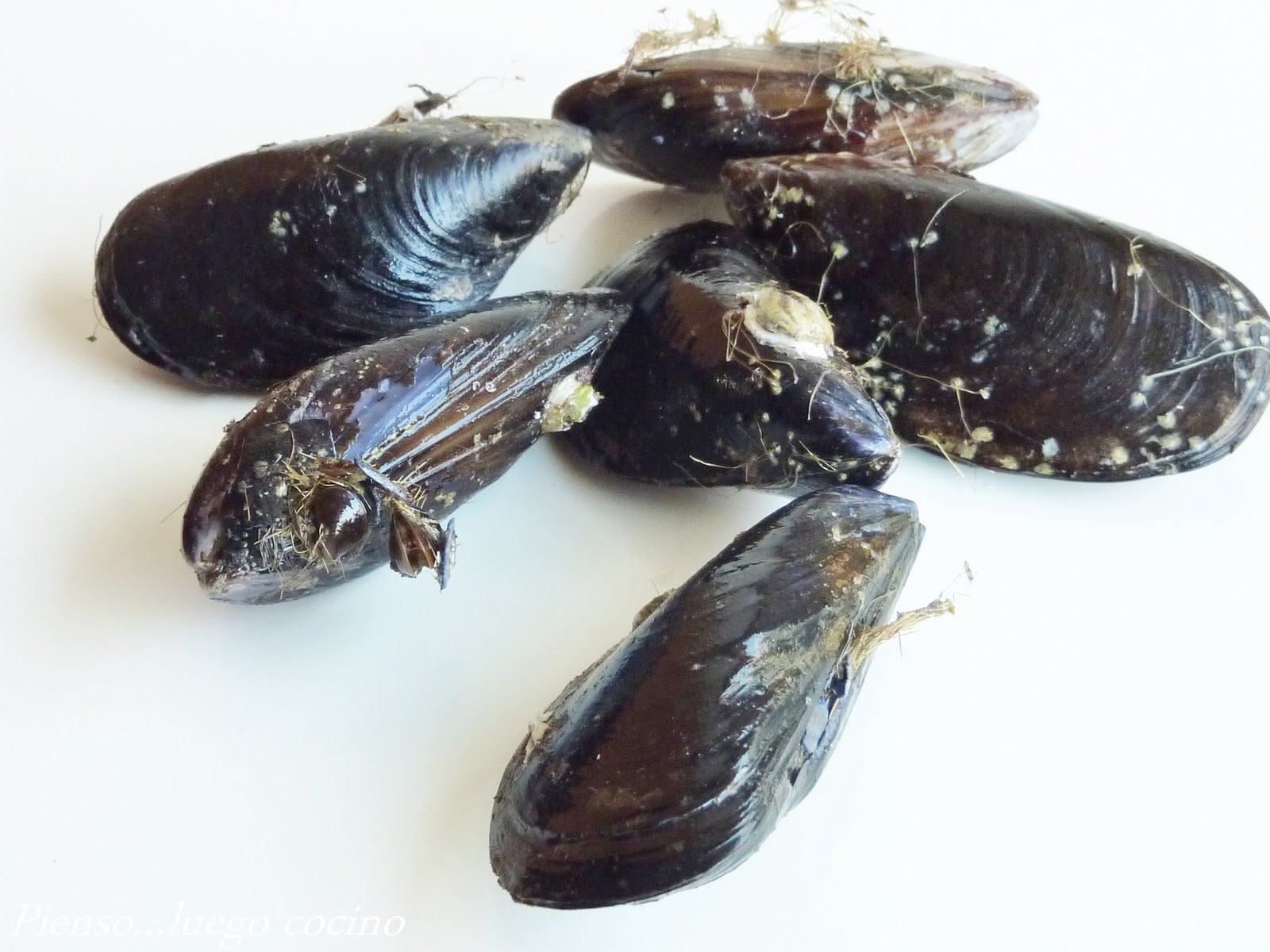 Recetas para cocinar mejillones