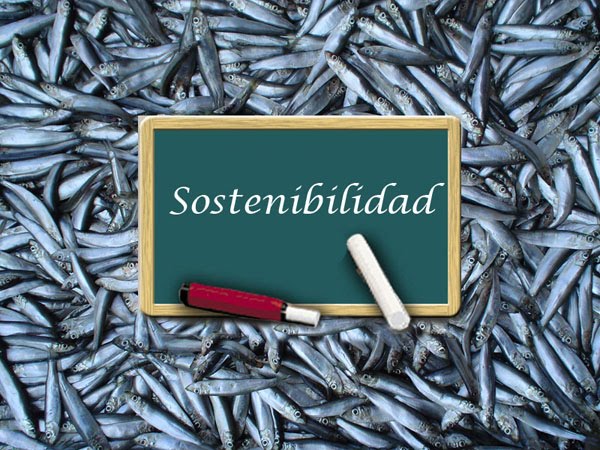 Pesca Sostenible