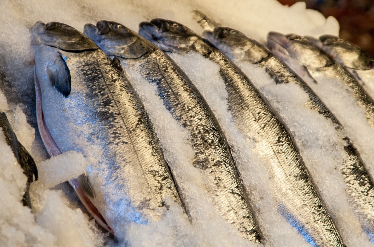 Las nueve pautas para saber si nos venden el pescado fresco