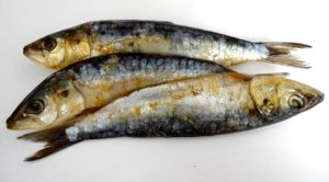 sardinas