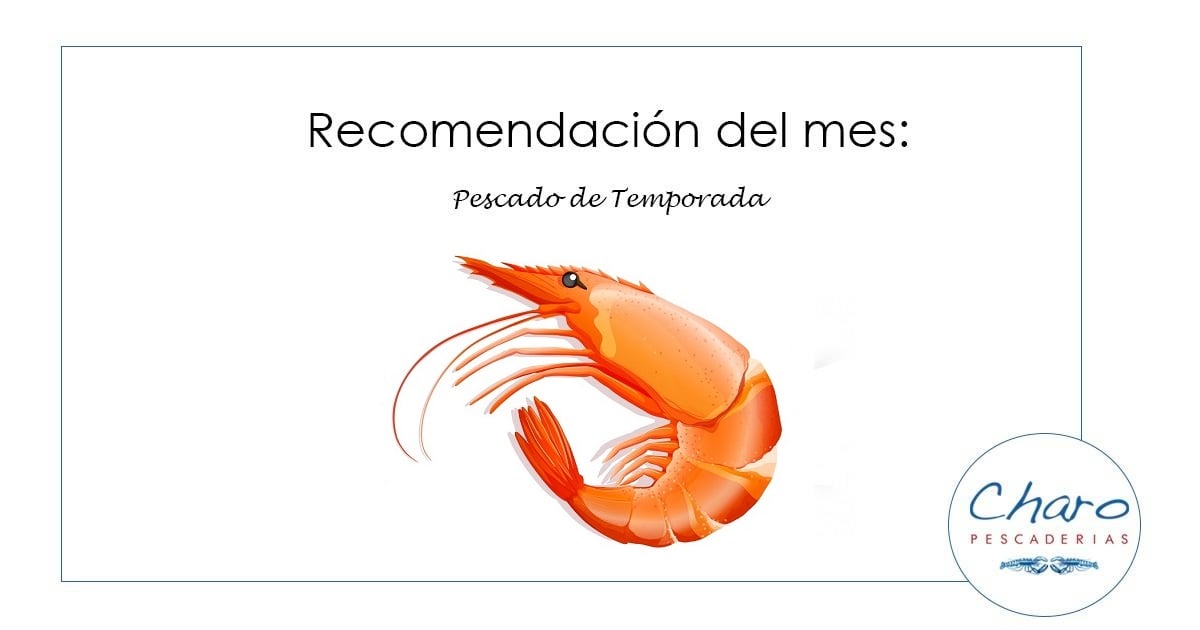 Blog 5 Recomendación de diciembre