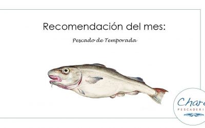 Recomendación de enero