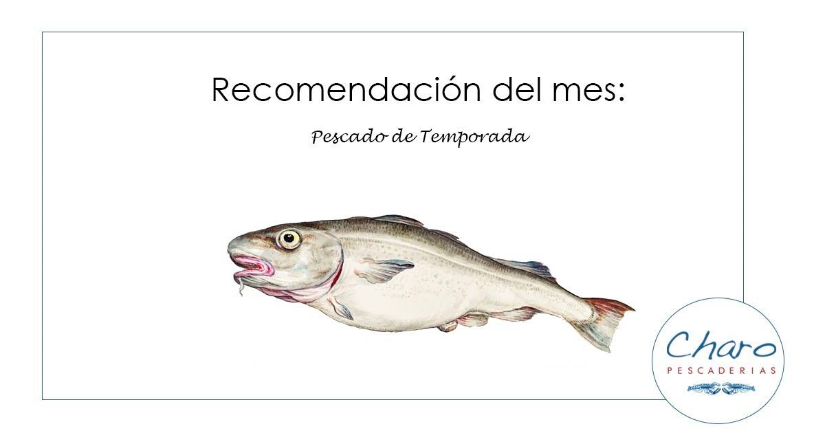 Blog 4 Recomendación de enero