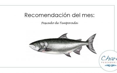 Recomendación de noviembre