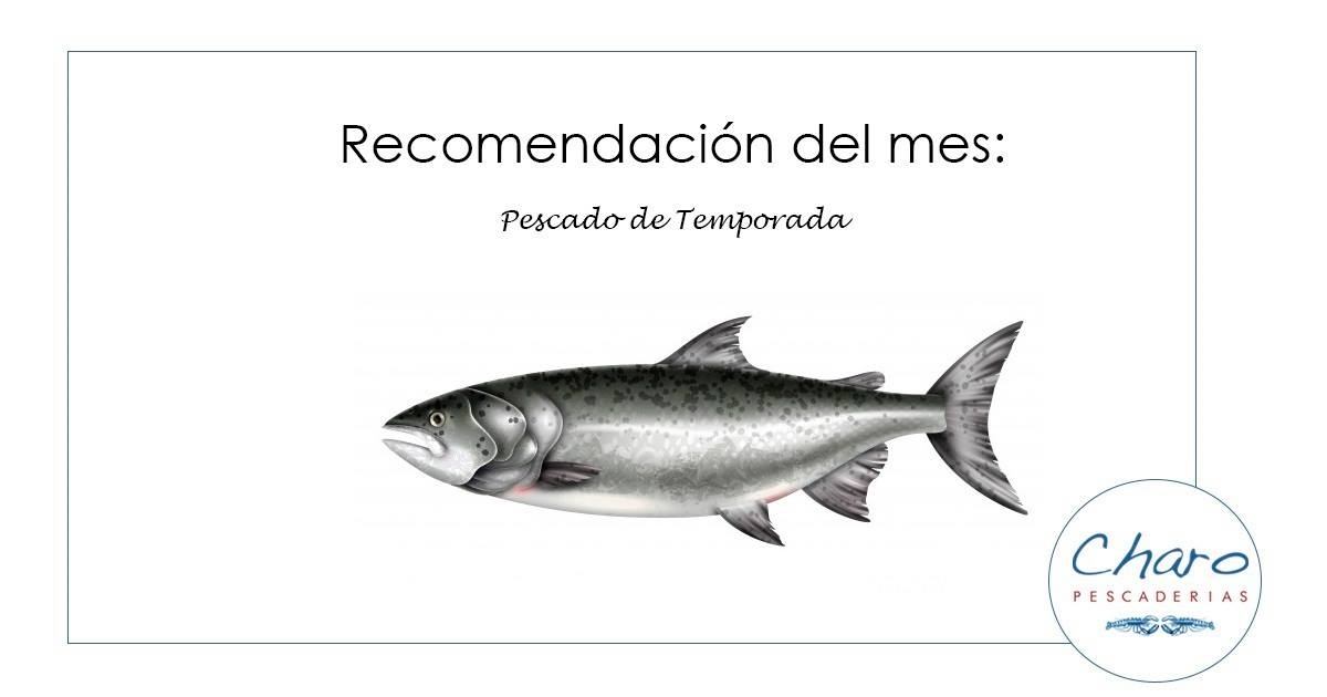 Blog 6 Recomendación de noviembre