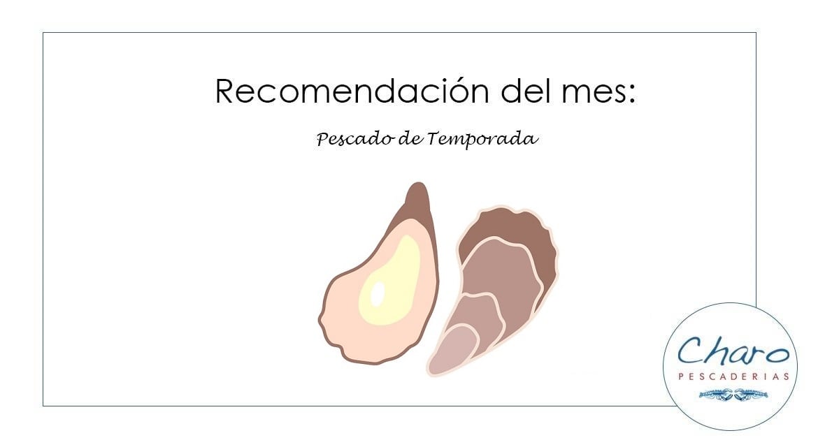 Blog 3 Recomendación de febrero