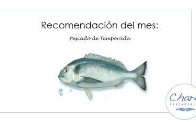 Todo sobre la Dorada