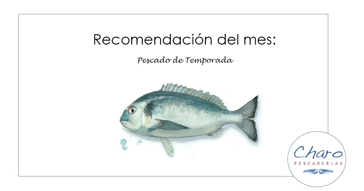 Blog 3 Todo sobre la Dorada