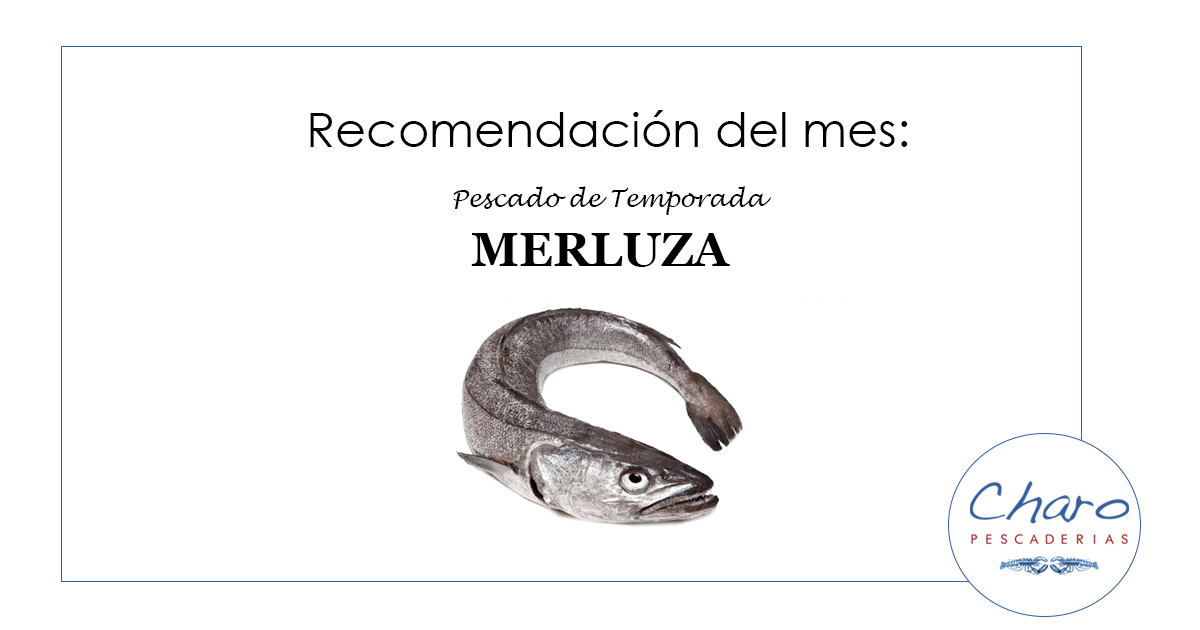 Blog 2 Todo sobre la merluza