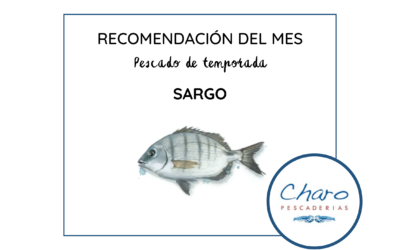 Curiosidades sobre el Sargo