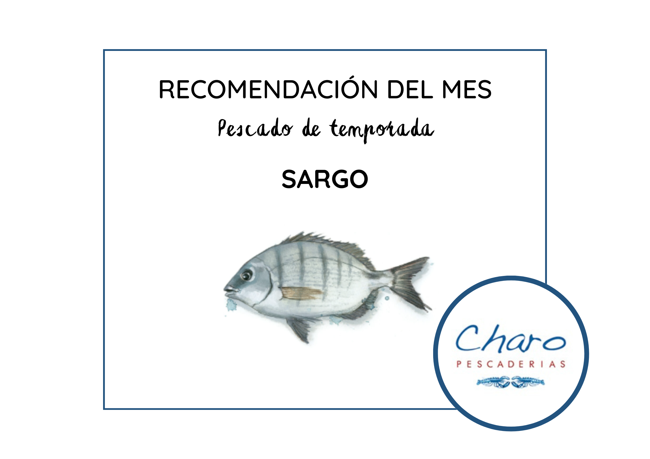 Curiosidades sobre el Sargo