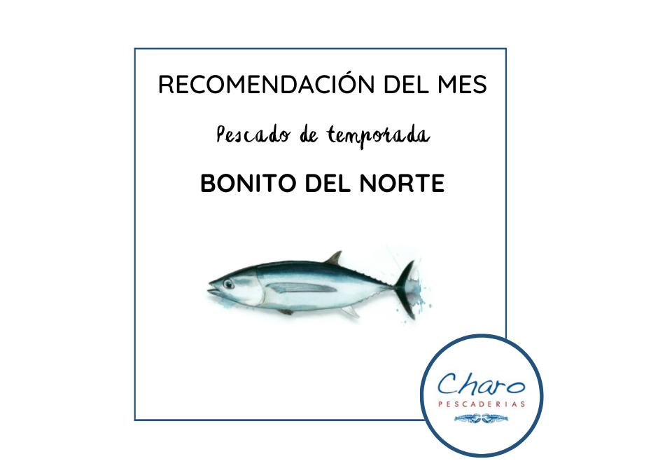 bonito del norte