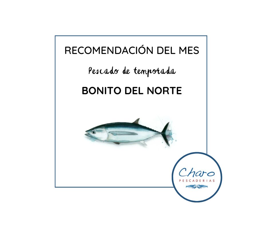bonito del norte